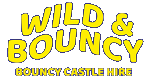 Wild and Bouncy bouncy castle hire, Driffield